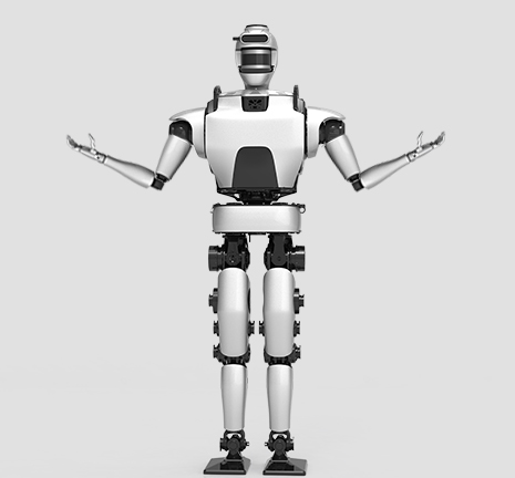 人形機器人-BHR系列