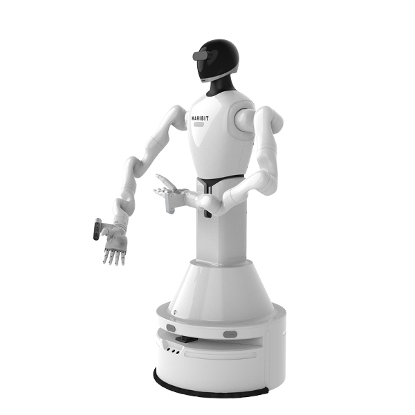 雙臂復(fù)合機器人